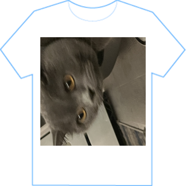 My cat 